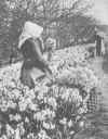 flower pickers bonnet.jpg (232257 bytes)